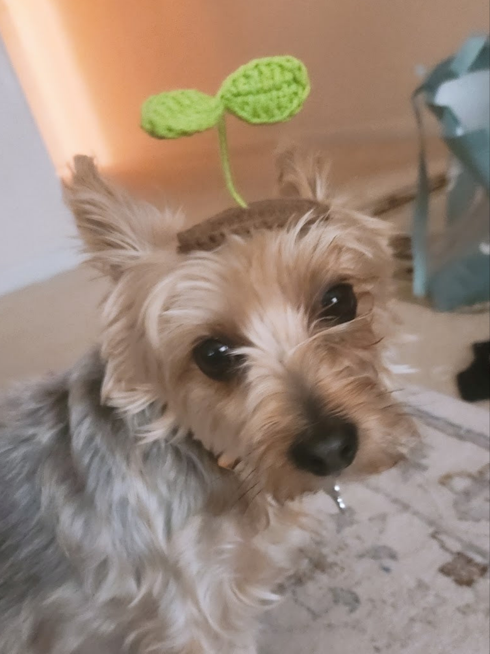 Crochet Leaf Sprout Clip